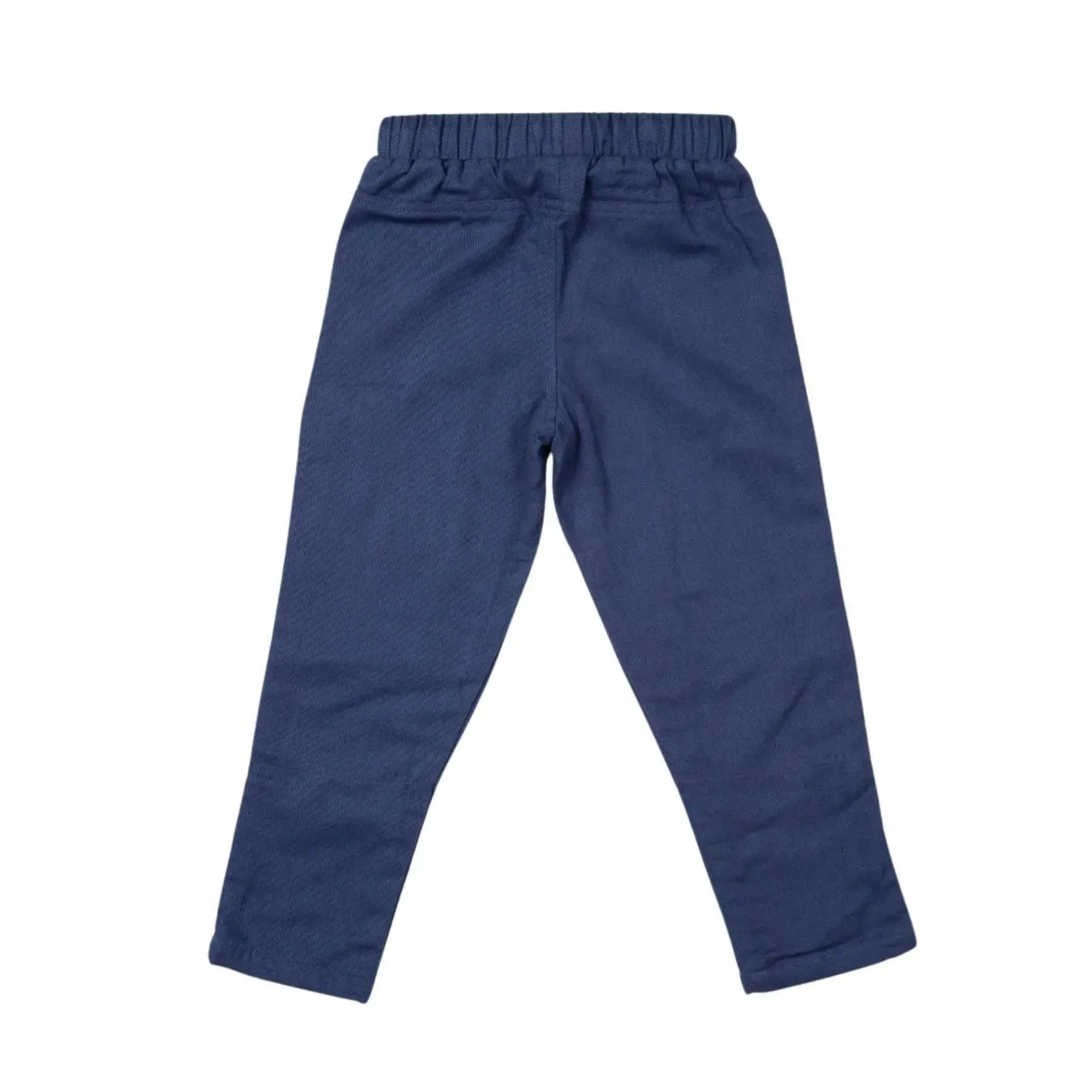 Lined Ash Pants - Navy