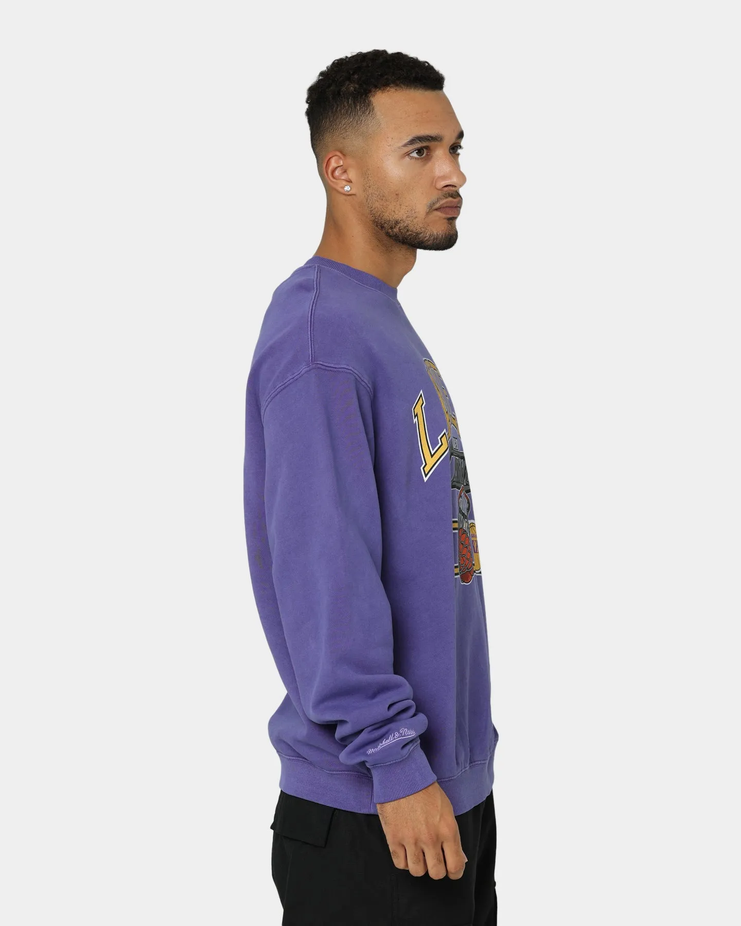 Mitchell & Ness Los Angeles Lakers Hoop Crew Crewneck Faded Purple